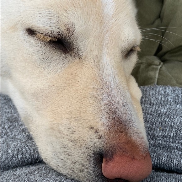 Meet your Posher, Darren - Picture 1 of 1